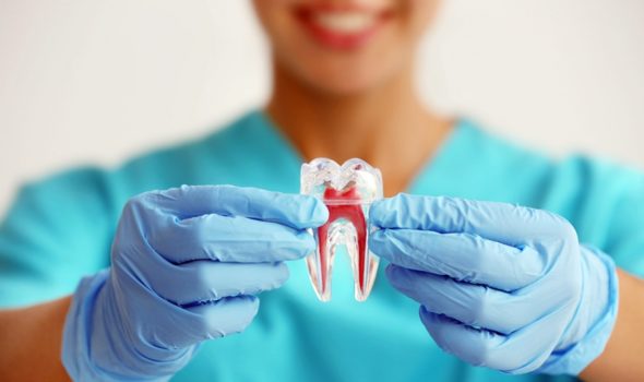 endodontia em brasilia ceilandia df endodontia em brasilia ceilandia df